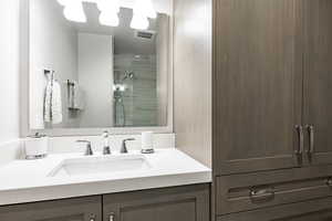 Bathroom with a shower and vanity