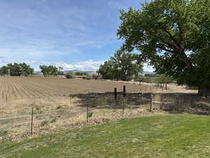 View of yard featuring a view of rural / pastoral area