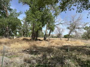 View of undeveloped land