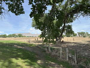 View of yard featuring a rural view, fence, and a mountain view