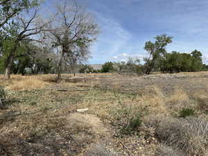 View of undeveloped land with rural landscape