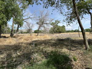 View of local wilderness featuring rural landscape