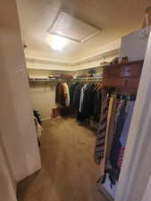 Walk in closet with carpet and attic access