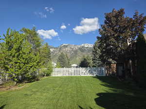 View of yard with a mountain view