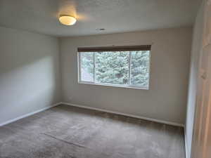 Carpeted empty room featuring a textured ceiling and baseboards