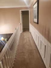 Hallway featuring carpet flooring, crown molding, and wainscoting