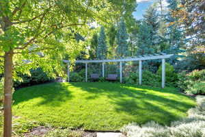View of grassy yard