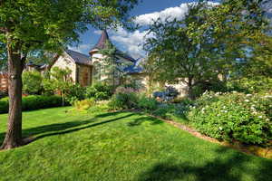 View of green lawn