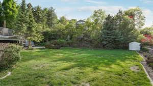 View of grassy yard featuring a storage unit and an outbuilding
