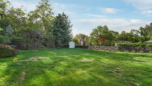 View of green lawn featuring a storage shed and an outbuilding