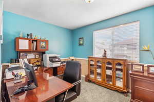 Office area with light colored carpet, a textured ceiling, and baseboards