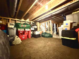Unfinished lower floor with lots of storage