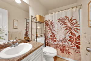 Full bath featuring toilet, vanity, curtained shower, and wood finished floors