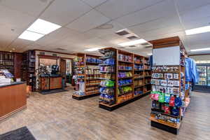 Basement featuring wood finished floors and a drop ceiling
