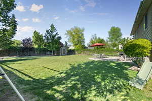View of yard featuring a storage unit, a patio, and an outdoor structure