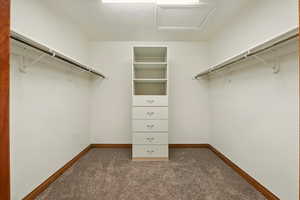 Primary walk in closet