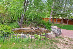 Backyard / pond