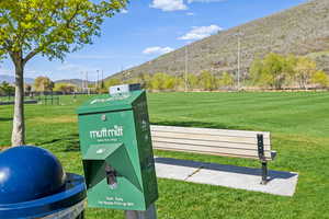 View of community featuring a mountain view and a lawn