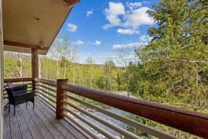 Photo 21 of 3339 W BIG SPRUCE WAY