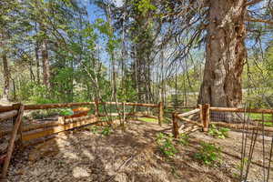 Photo 44 of 3339 W BIG SPRUCE WAY