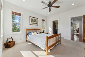 Bedroom featuring carpet floors, recessed lighting, multiple windows, baseboards, and a walk in closet