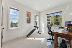 Carpeted home office with baseboards