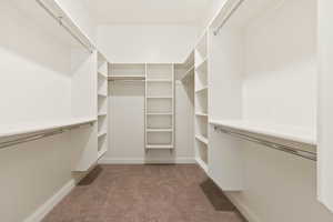 Walk in closet featuring carpet