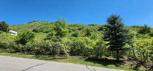 View of mountain backdrop with a forest
