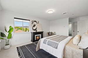 Primary bedroom flooded with natural light, featuring light carpet and custom roller shades