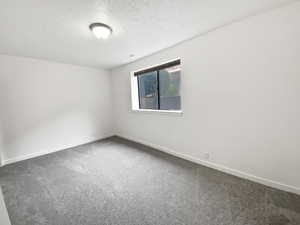Carpeted empty room featuring baseboards