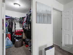 Large primary walk in closet