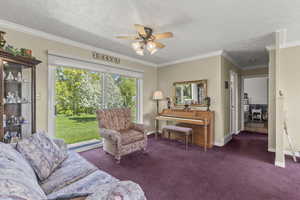 Living area with baseboards, crown molding, a ceiling fan, and carpet floors