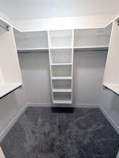 Spacious closet featuring carpet flooring