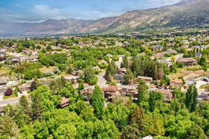 Aerial perspective of suburban area with a mountainous background