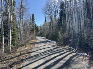 View of asphalt road with a view of trees