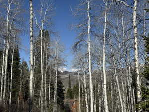 View of mountain backdrop