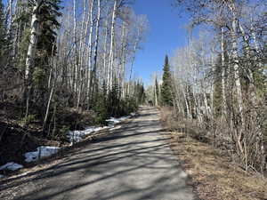 View of road