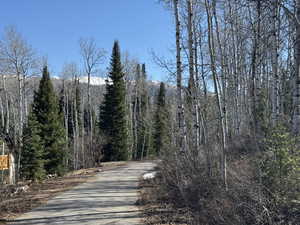 View of asphalt street with a forest view