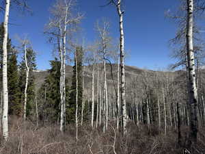 View of mountain backdrop
