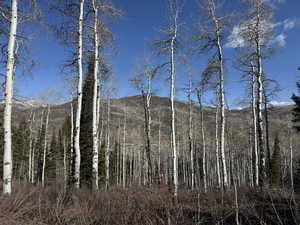View of mountain backdrop