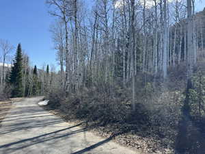 View of road with a view of trees