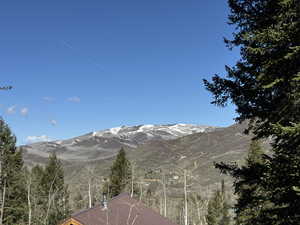 View of mountain background