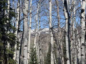 View of undeveloped land