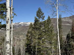 Mountain view