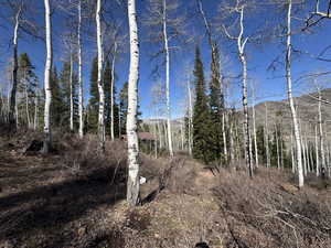 View of undeveloped land featuring a mountainous background