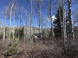 View of local wilderness featuring a mountainous background