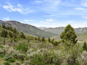 Mountain view