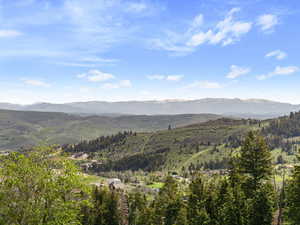 Mountain view with a heavily wooded area