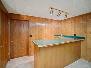 Bar area featuring wooden walls, track lighting, and carpet