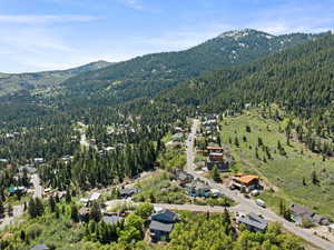 Aerial overview of property's location featuring a forest and a mountain backdrop
